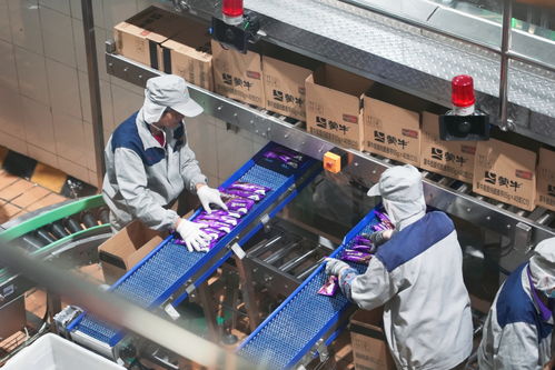 蒙牛乳業(yè)攜手馬鞍山，驅(qū)動(dòng)綠色食品產(chǎn)業(yè)邁向新征程