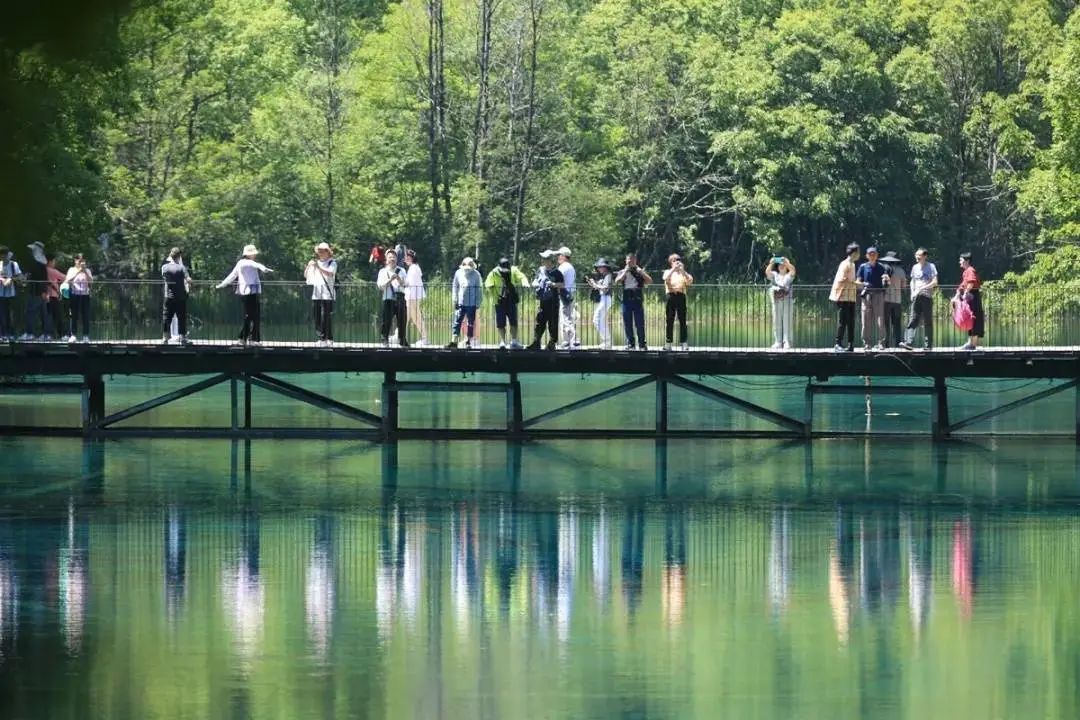 游客滿意度超96%!九寨溝景區(qū)調(diào)度能力太強(qiáng)火上熱搜!