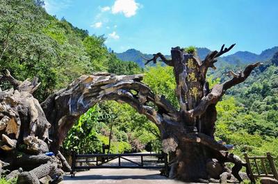 魔鬼秋千爆紅全網(wǎng) 浙旅集團(tuán)深度體驗(yàn)旅游產(chǎn)品成效凸顯，景區(qū)管理再升級(jí)