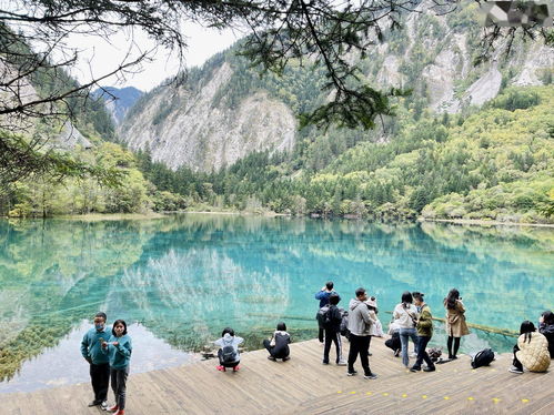 久違的仙境 九寨溝恢復全域開放與新路線發(fā)布