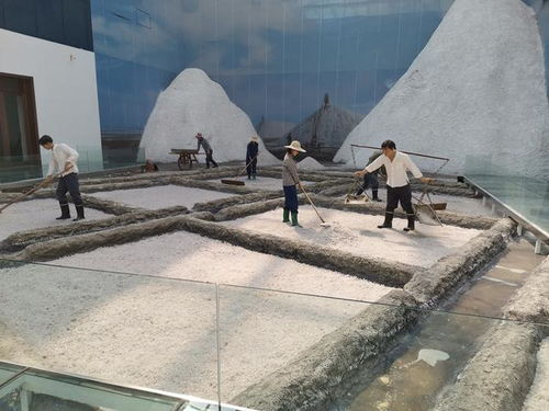 好客山東 百團山東行——濱州無棣站活動啟動，園區(qū)管理服務協(xié)同助力