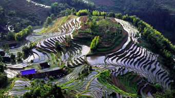 紫鵲界盛裝啟航，9月8日正式向游客開放，園區(qū)管理服務全面升級