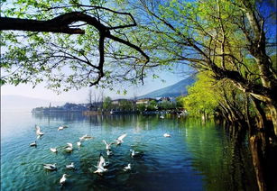 引以為鑒，刀刃向內(nèi)——邛瀘景區(qū)質(zhì)量提升會后管理優(yōu)化紀實